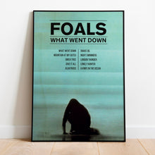 Load image into Gallery viewer, Foals | What Went Down
