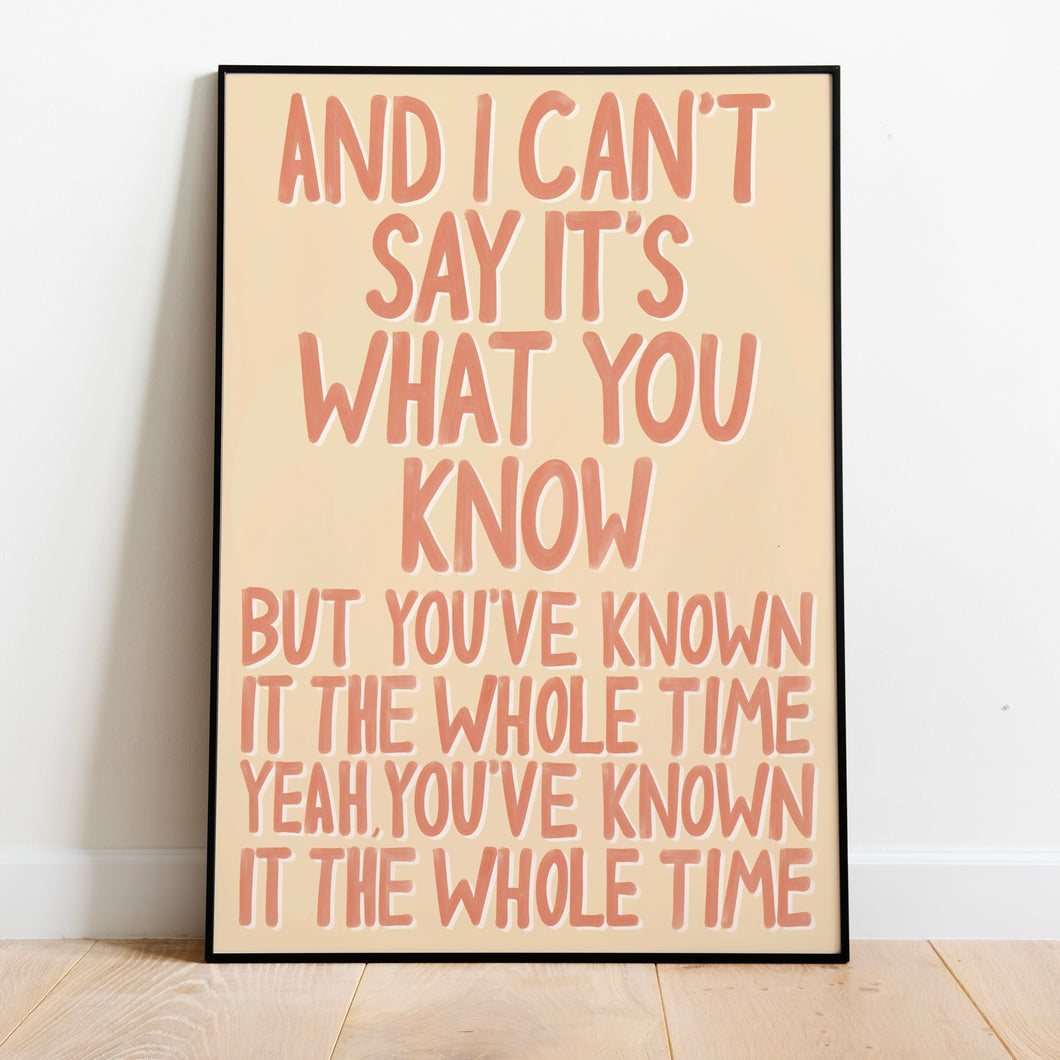 Two Door Cinema Club | What You Know