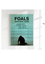 Load image into Gallery viewer, Foals | What Went Down
