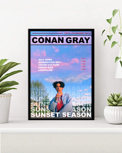 conan gray poster